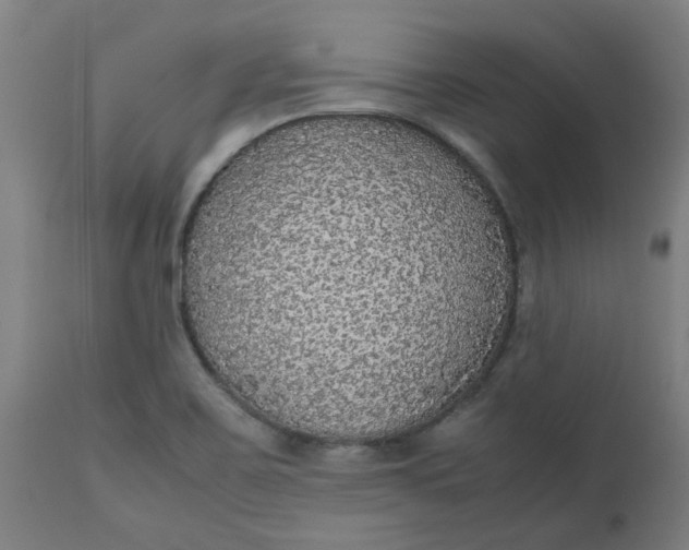 X0000112471467200909071122