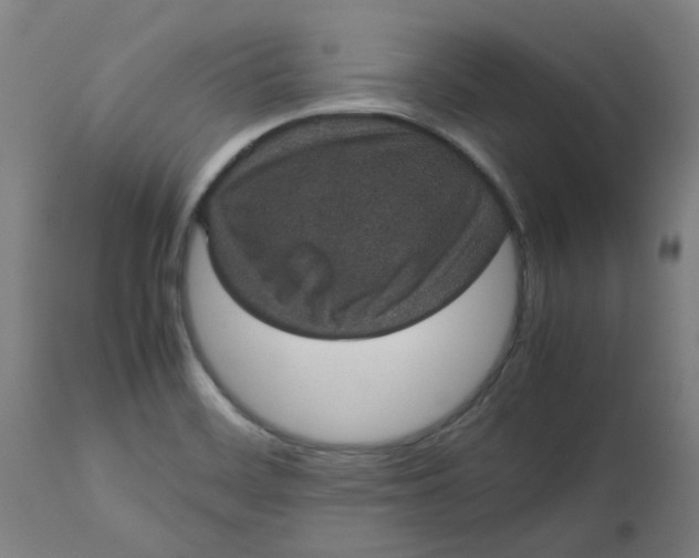 X0000112471468200909071122