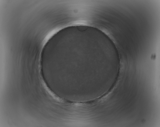 X0000112471469200909071122