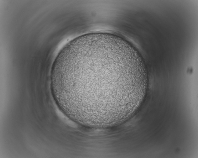 X0000112471471200909071122