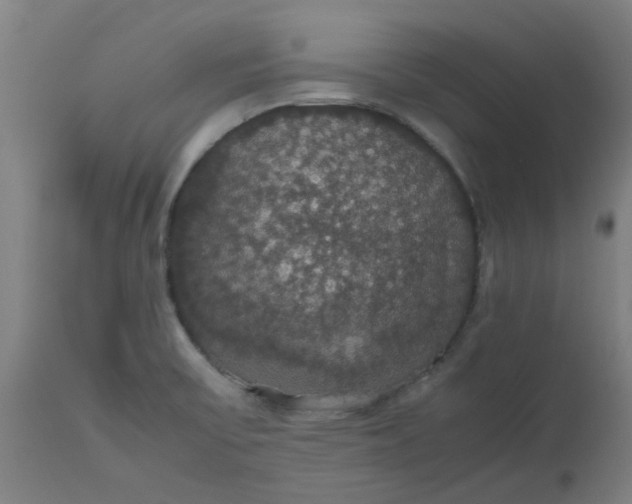 X0000112471475200909071122