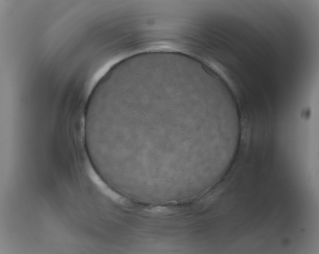 X0000112471476200909071122