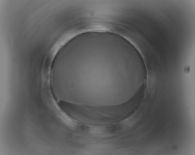 X0000112471477200909071122