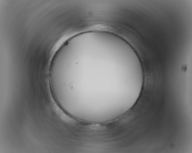 X0000112471478200909071122