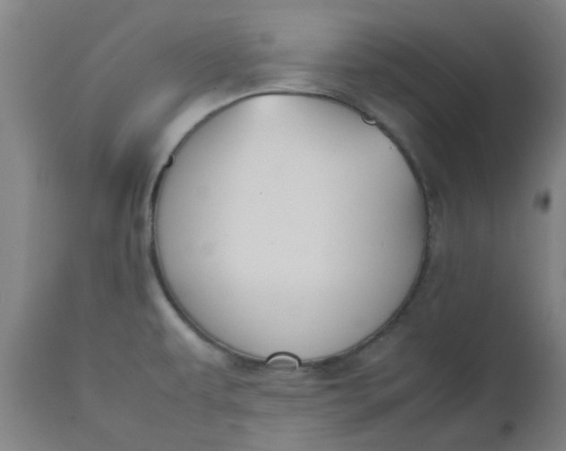 X0000112471479200909071122