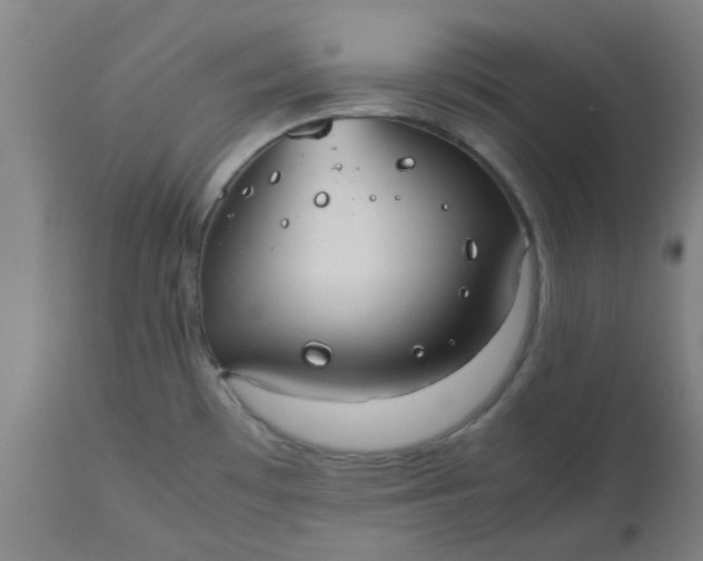 X0000112471481200909071122