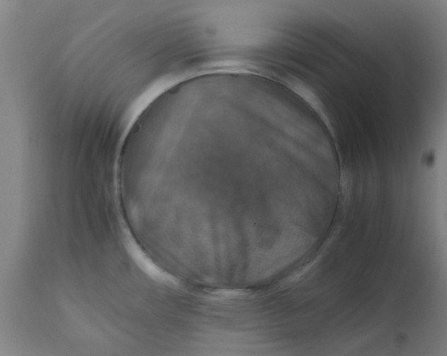 X0000112471482200909071122