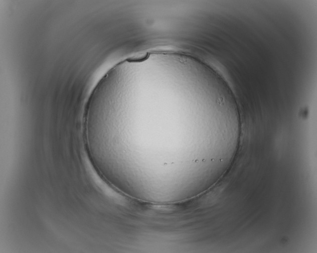 X0000112471483200909071122