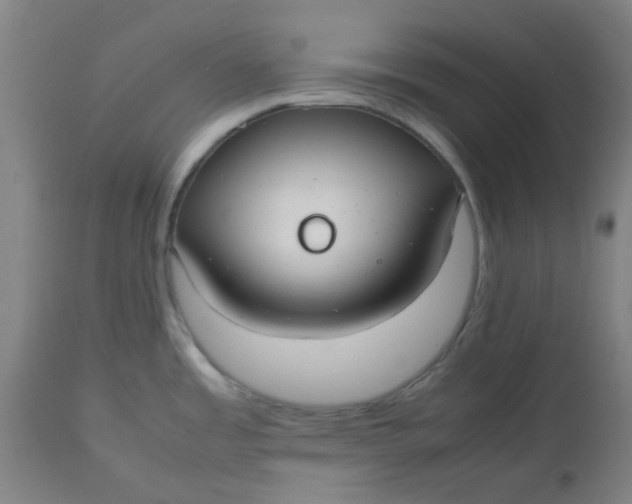 X0000112471485200909071122