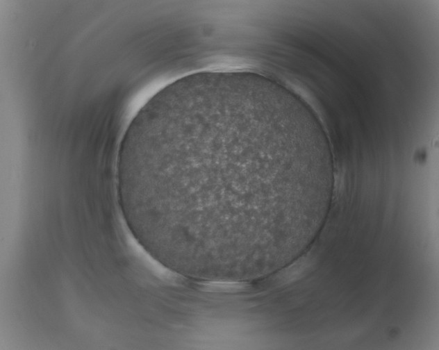 X0000112471487200909071122