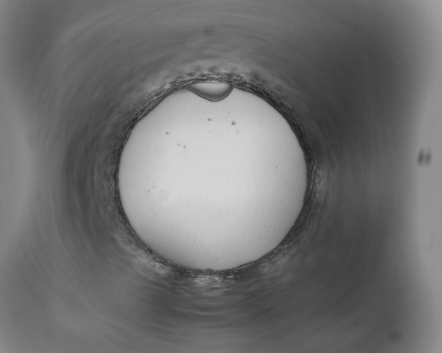 X0000112471489200909071121