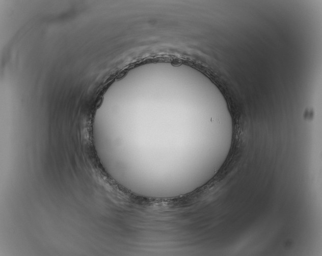 X0000112471490200909071121