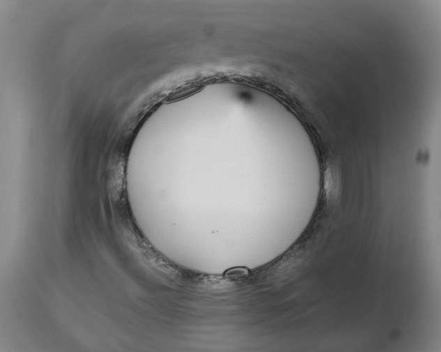 X0000112471492200909071121