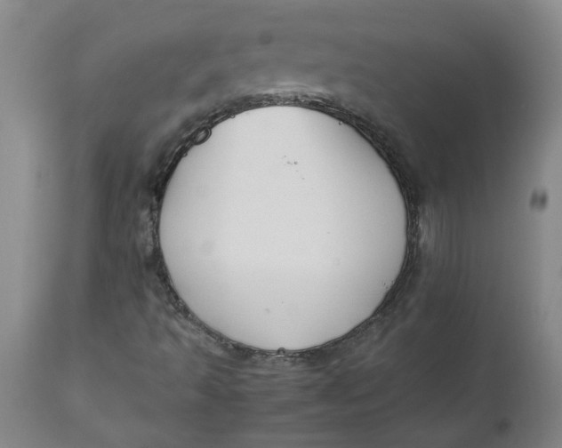 X0000112471493200909071121