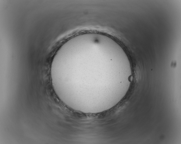 X0000112471494200909071121