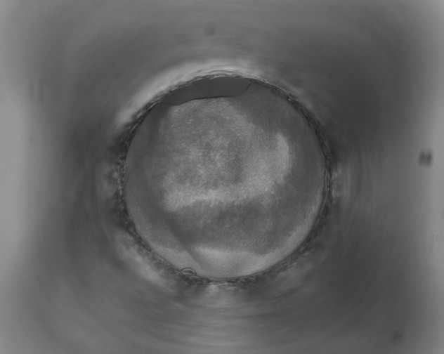 X0000112471496200909071121