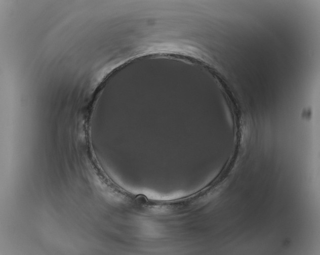 X0000112471497200909071121