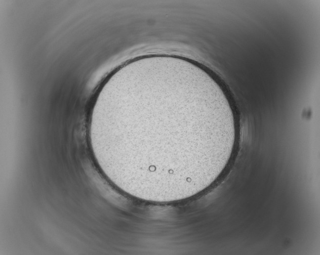 X0000112471498200909071121