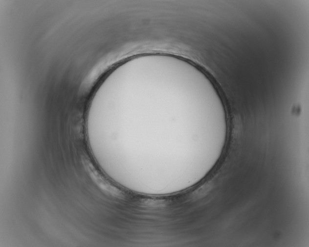 X0000112471499200909071121