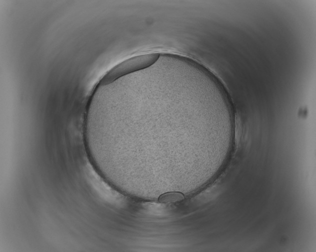 X0000112471500200909071121