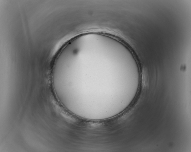 X0000112471501200909071121