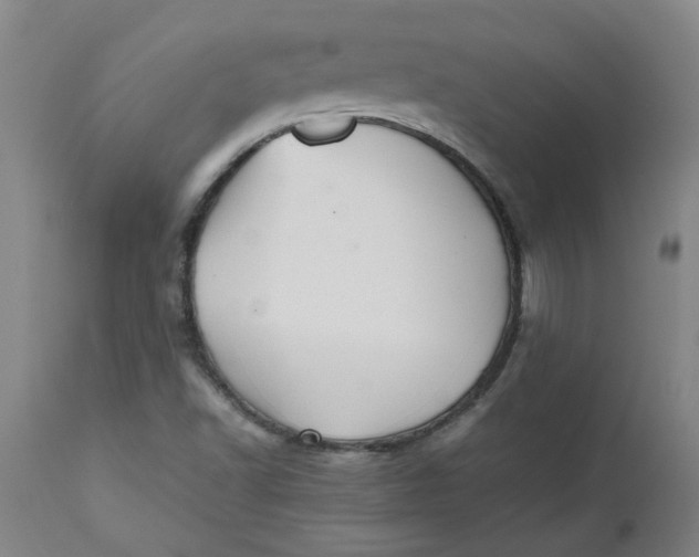 X0000112471502200909071121