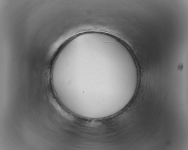 X0000112471503200909071121