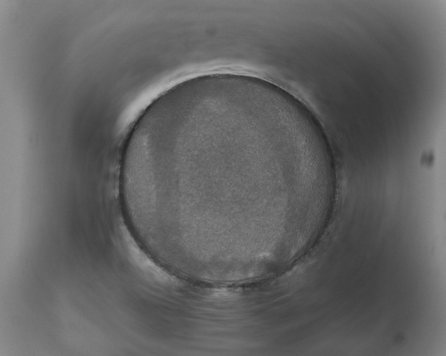 X0000112471504200909071121