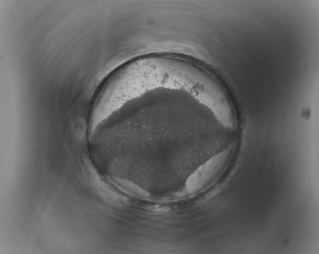 X0000112471505200909071121