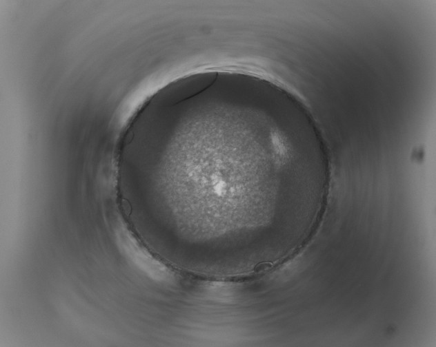 X0000112471506200909071121