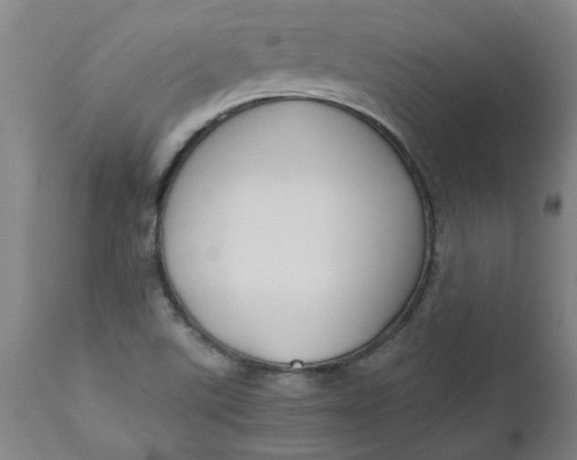 X0000112471507200909071121