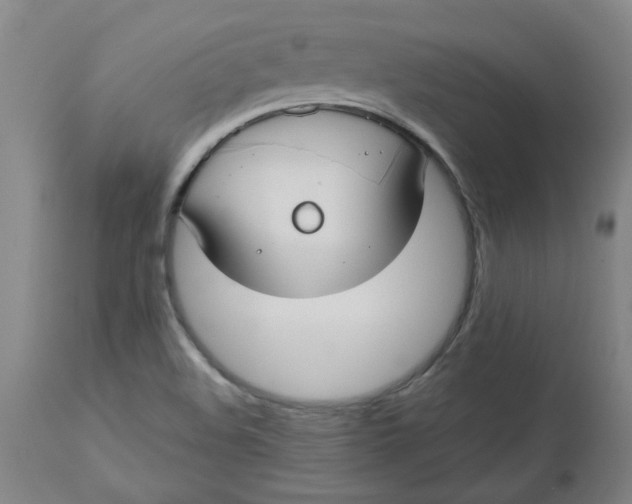 X0000112471508200909071121