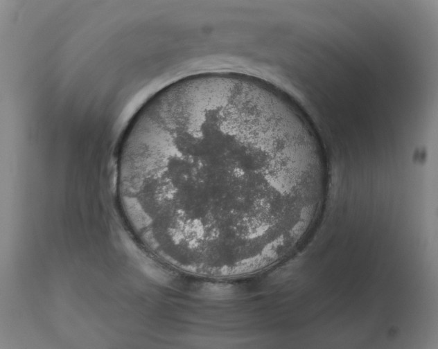 X0000112471509200909071121