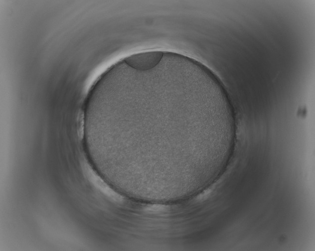 X0000112471510200909071121