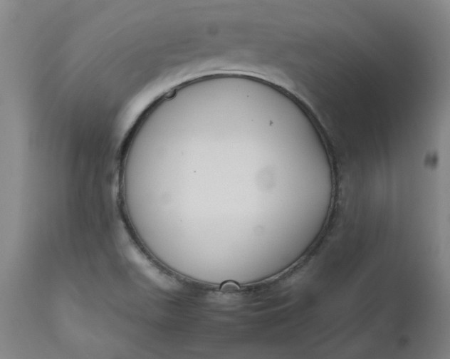 X0000112471511200909071121