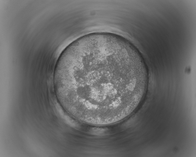 X0000112471513200909071121