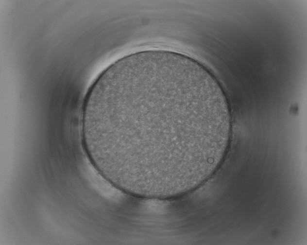 X0000112471514200909071121