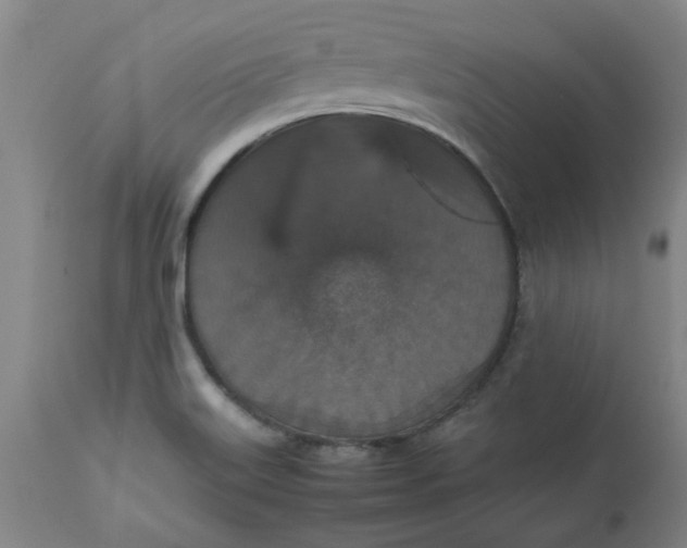 X0000112471515200909071121