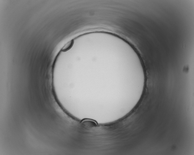 X0000112471516200909071121