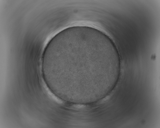 X0000112471517200909071121