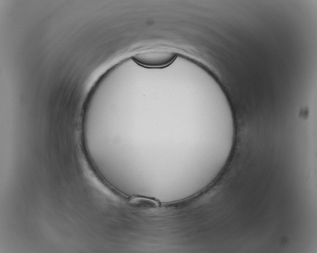 X0000112471518200909071121