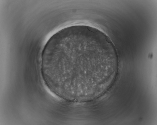 X0000112471519200909071121