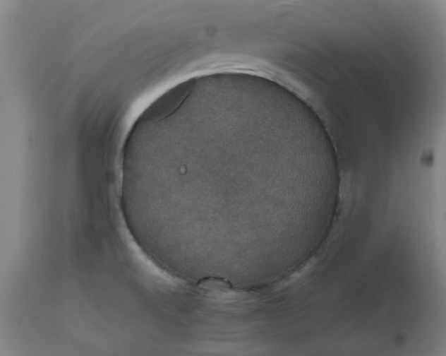 X0000112471520200909071121