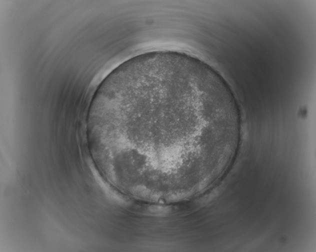 X0000112471521200909071121