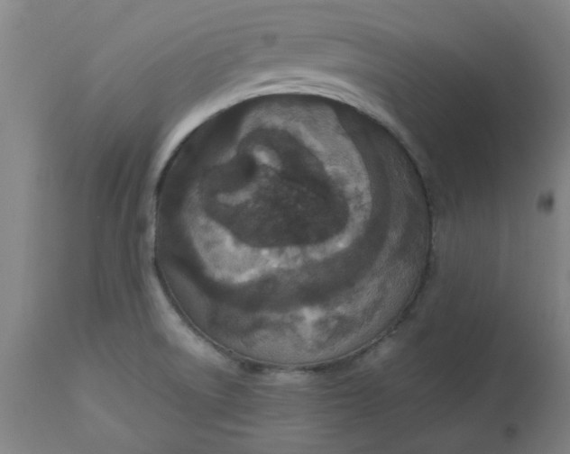 X0000112471522200909071121