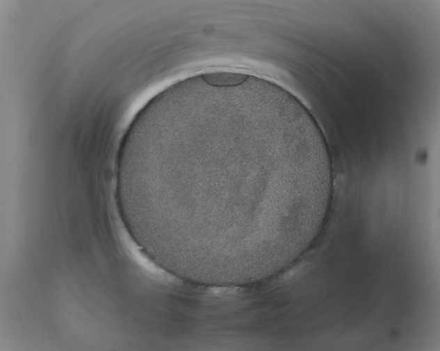 X0000112471523200909071121