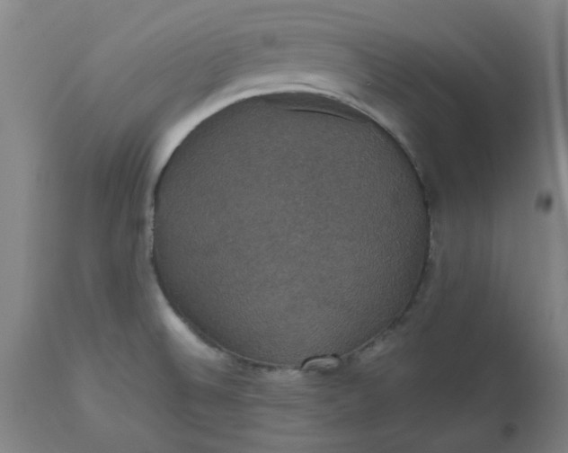 X0000112471524200909071121