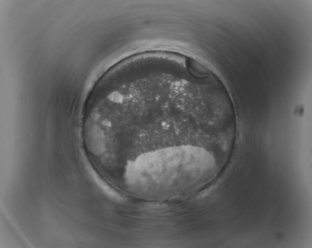 X0000112471525200909071121