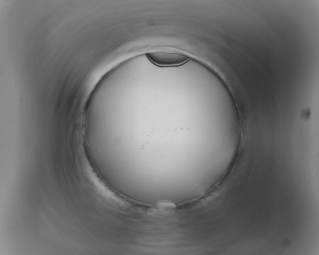 X0000112471526200909071121