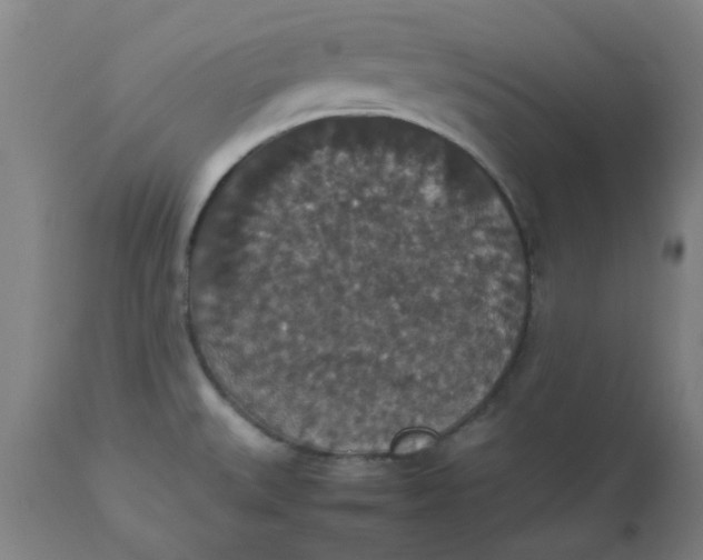 X0000112471527200909071121